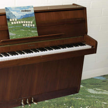 Load image into Gallery viewer, GRANDADDY - THE SOPHTWARE SLUMP...ON A WOODEN PIANO (LP)