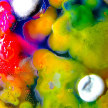 Load image into Gallery viewer, GUERILLA TOSS - FAMOUSLY ALIVE (LP/CASSETTE)