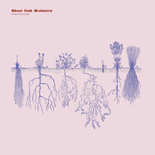 Load image into Gallery viewer, GHOST FUNK ORCHESTRA - A NEW KIND OF LOVE (LP)
