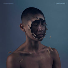 Load image into Gallery viewer, MANCHESTER ORCHESTRA - VALLEY OF VISION (12" EP)
