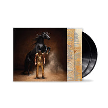 Load image into Gallery viewer, ORVILLE PECK - BRONCO (2xLP)