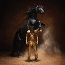 Load image into Gallery viewer, ORVILLE PECK - BRONCO (2xLP)