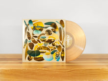 Load image into Gallery viewer, PEDRO THE LION - HAVASU (LP/CASSETTE)