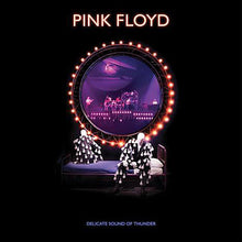 Load image into Gallery viewer, PINK FLOYD - DELICATE SOUND OF THUNDER (3xLP BOX SET)