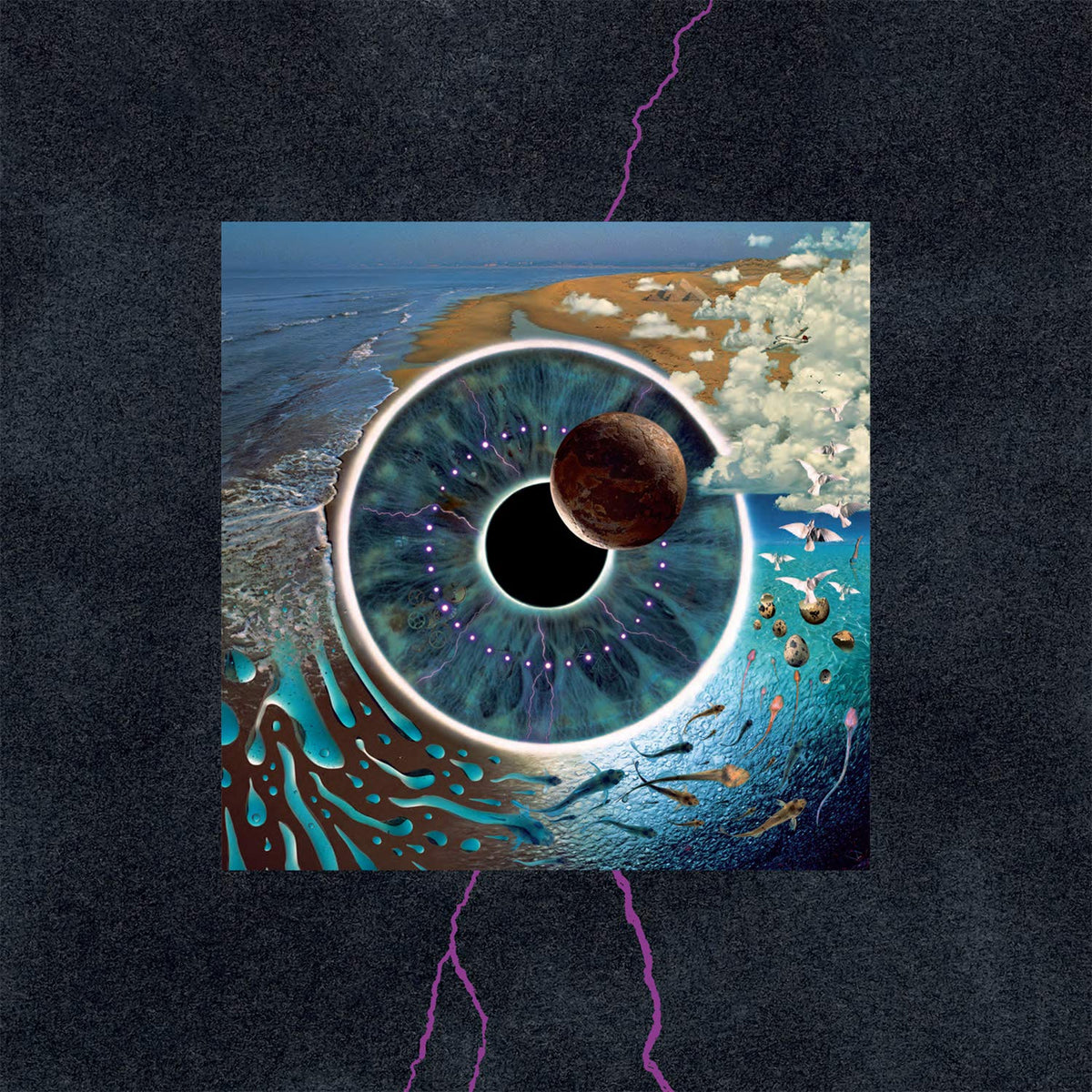 PINK FLOYD - PULSE (4xLP BOX SET) – 10,000 Hz Records