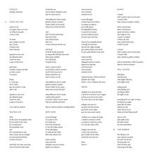 Load image into Gallery viewer, RODRIGO AMARANTE - CAVALO (LP)
