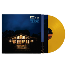 Load image into Gallery viewer, ROLLING BLACKOUTS C.F. - ENDLESS ROOMS (LP)