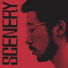 Load image into Gallery viewer, RYO FUKUI - SCENERY (LP/CD)
