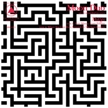 Load image into Gallery viewer, MOON DUO - MAZES (LP)
