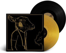 Load image into Gallery viewer, SHAKEY GRAVES - ROLL THE BONES X (2xLP)