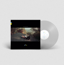 Load image into Gallery viewer, ROSTAM - CHANGEPHOBIA (LP)