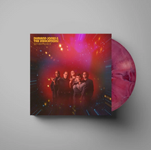 Load image into Gallery viewer, DURAND JONES and the INDICATIONS - PRIVATE SPACE (LP)