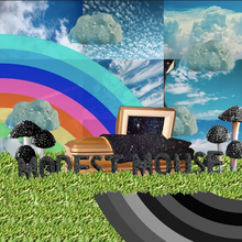 Load image into Gallery viewer, MODEST MOUSE - THE GOLDEN CASKET (2xLP/DLX 2xLP)