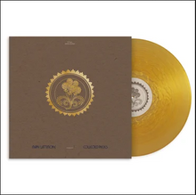 Load image into Gallery viewer, MARY LATTIMORE - COLLECTED PIECES: 2015-2020 (2xLP)