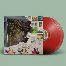Load image into Gallery viewer, ANIMAL COLLECTIVE - TIME SKIFFS (2xLP)