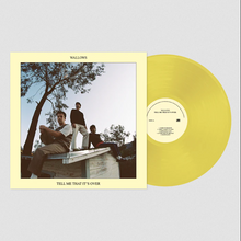 Load image into Gallery viewer, WALLOWS - TELL ME THAT IT'S OVER (LP)