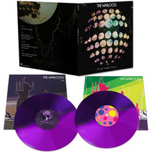 Load image into Gallery viewer, WARLOCKS - RISE & FALL (2xLP)
