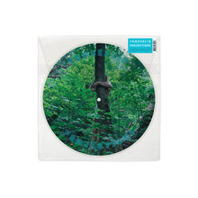 Load image into Gallery viewer, TOMBERLIN - PROJECTIONS (12" PIC DISC)