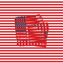 Load image into Gallery viewer, TORTOISE - STANDARDS (LP)