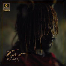 Load image into Gallery viewer, THUNDERCAT - IT IS WHAT IT IS (LP/CD)