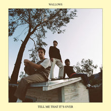 Load image into Gallery viewer, WALLOWS - TELL ME THAT IT'S OVER (LP)