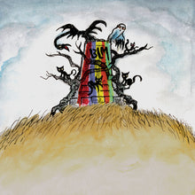 Load image into Gallery viewer, DRIVE-BY TRUCKERS - THE NEW OK (LP)