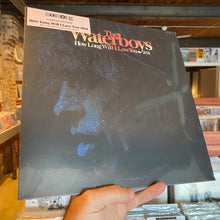 Load image into Gallery viewer, WATERBOYS - HOW LONG WILL I LOVE YOU (12")