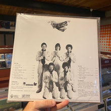 Load image into Gallery viewer, FLYING BURRITO BROTHERS - BURRITO DELUXE (ALL-ANALOG LP)