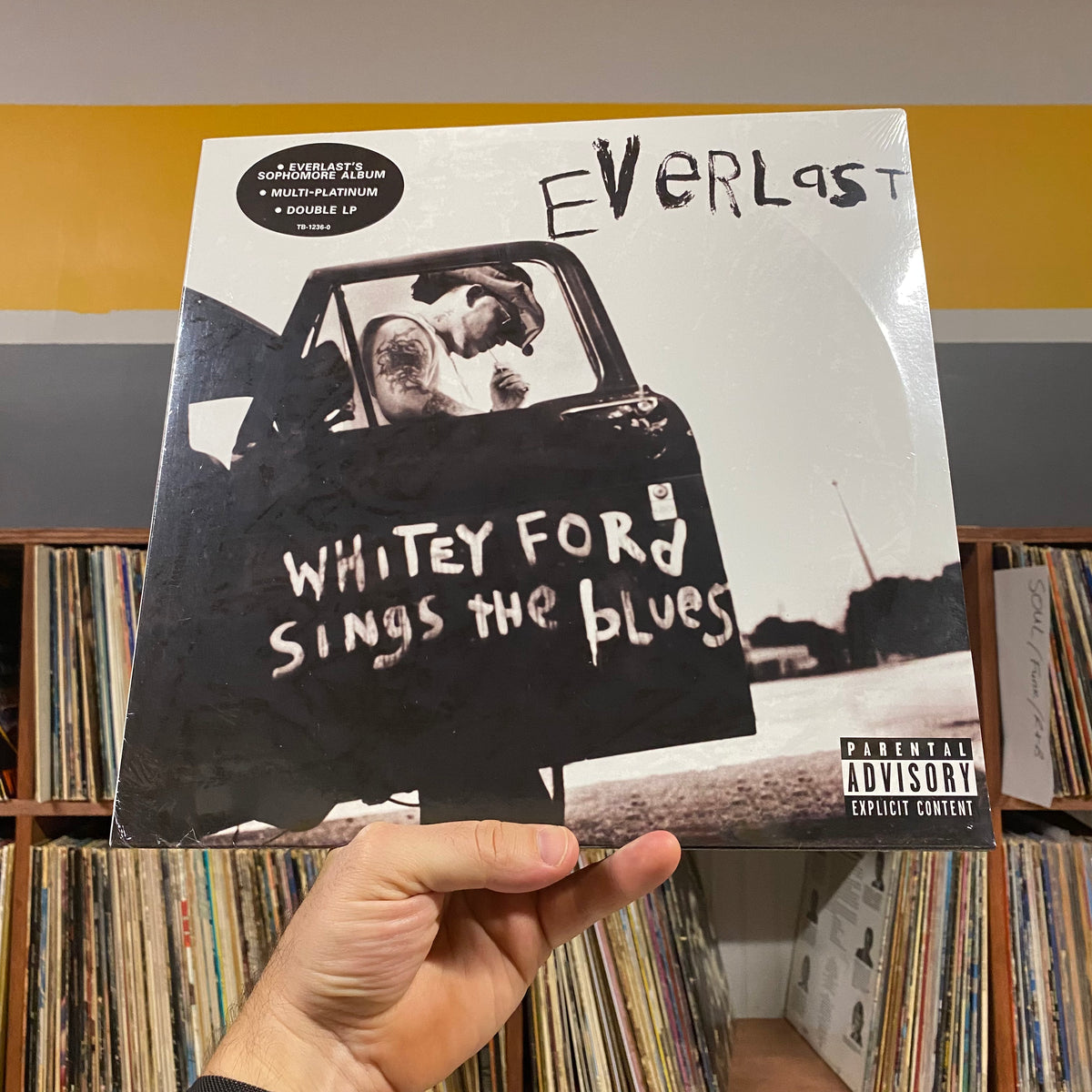 Everlast-Whitey Ford Sings The Blues 2LP Vinyl