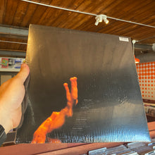 Load image into Gallery viewer, PEARL JAM - LIVE ON TWO LEGS (2xLP)