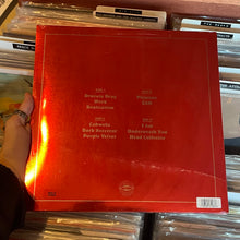 Load image into Gallery viewer, FRANKIE AND THE WITCH FINGERS - ZAM (2xLP)