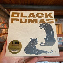 Load image into Gallery viewer, BLACK PUMAS - BLACK PUMAS: COLLECTOR'S EDITION 7" BOX SET (7")