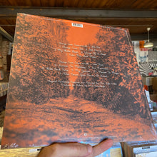 Load image into Gallery viewer, BRIAN WILSON and VAN DYKE PARKS - ORANGE CRATE INSTRUMENTALS (LP)