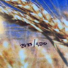 Load image into Gallery viewer, GRATEFUL DEAD - DICK'S PICKS VOLUME NINETEEN, OKC, 10/19/1973 (6xLP BOX SET)