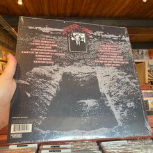Load image into Gallery viewer, ANTI-FLAG - 20/20 DIVISION (LP)