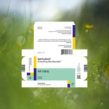 Load image into Gallery viewer, SPIRITUALIZED - EVERYTHING WAS BEAUTIFUL (LP)