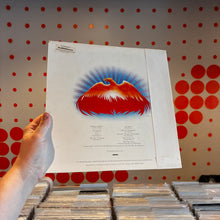 Load image into Gallery viewer, [USED] GRATEFUL DEAD - GO TO HEAVEN (LP)
