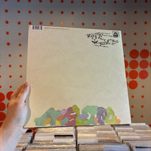 Load image into Gallery viewer, [USED] TY SEGALL - MELTED (LP)
