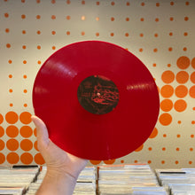 Load image into Gallery viewer, [USED] BLACKBEAR - ANONYMOUS (2xLP)

