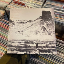 Load image into Gallery viewer, EARTH - HEX [20TH ANNIVERSARY] [RSD25] (LP)
