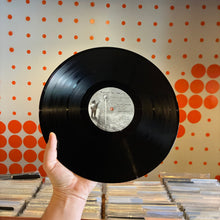 Load image into Gallery viewer, [USED] BUILT TO SPILL - THERE IS NO ENEMY (2xLP)
