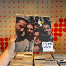 Load image into Gallery viewer, [USED] BIG THIEF - TWO HANDS (LP)
