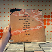 Load image into Gallery viewer, [USED] WALLOWS - NOTHING HAPPENS (LP)
