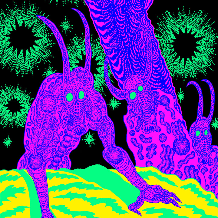 OSEES - ABOMINATION REVEALED AT LAST (LP)