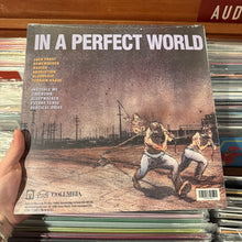 Load image into Gallery viewer, SEASON TO RISK - IN A PERFECT WORLD [RSDBF25] (LP)

