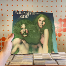 Load image into Gallery viewer, [USED] BUCKINGHAM NICKS - BUCKINGHAM NICKS (LP)
