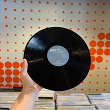 Load image into Gallery viewer, [USED] DAMIEN RICE - LIVE AT FINGERPRINTS: WARTS AND ALL (LP)
