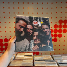 Load image into Gallery viewer, [USED] BIG THIEF - TWO HANDS (LP)

