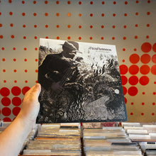 Load image into Gallery viewer, [USED] RICH ROBINSON - THE CEASELESS SIGHT (2xLP)
