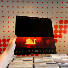 Load image into Gallery viewer, [USED] VAN MORRISON - AVALON SUNSET (LP)

